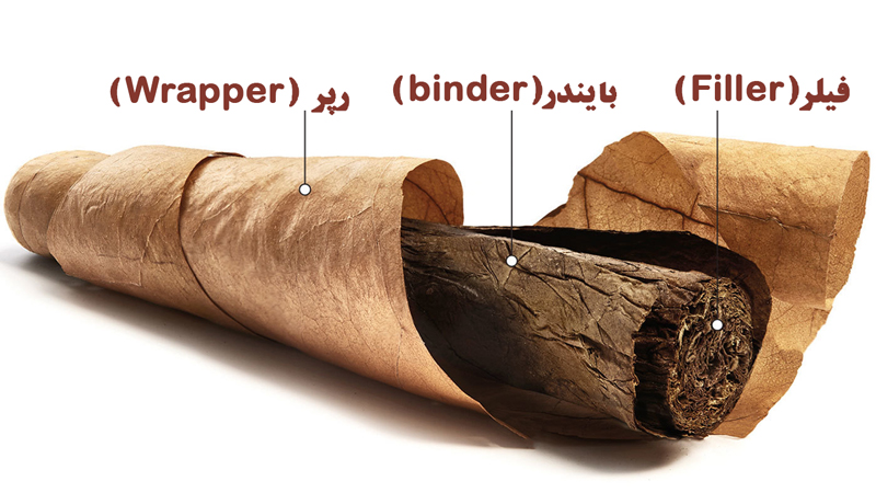 اجزاء سیگار برگ