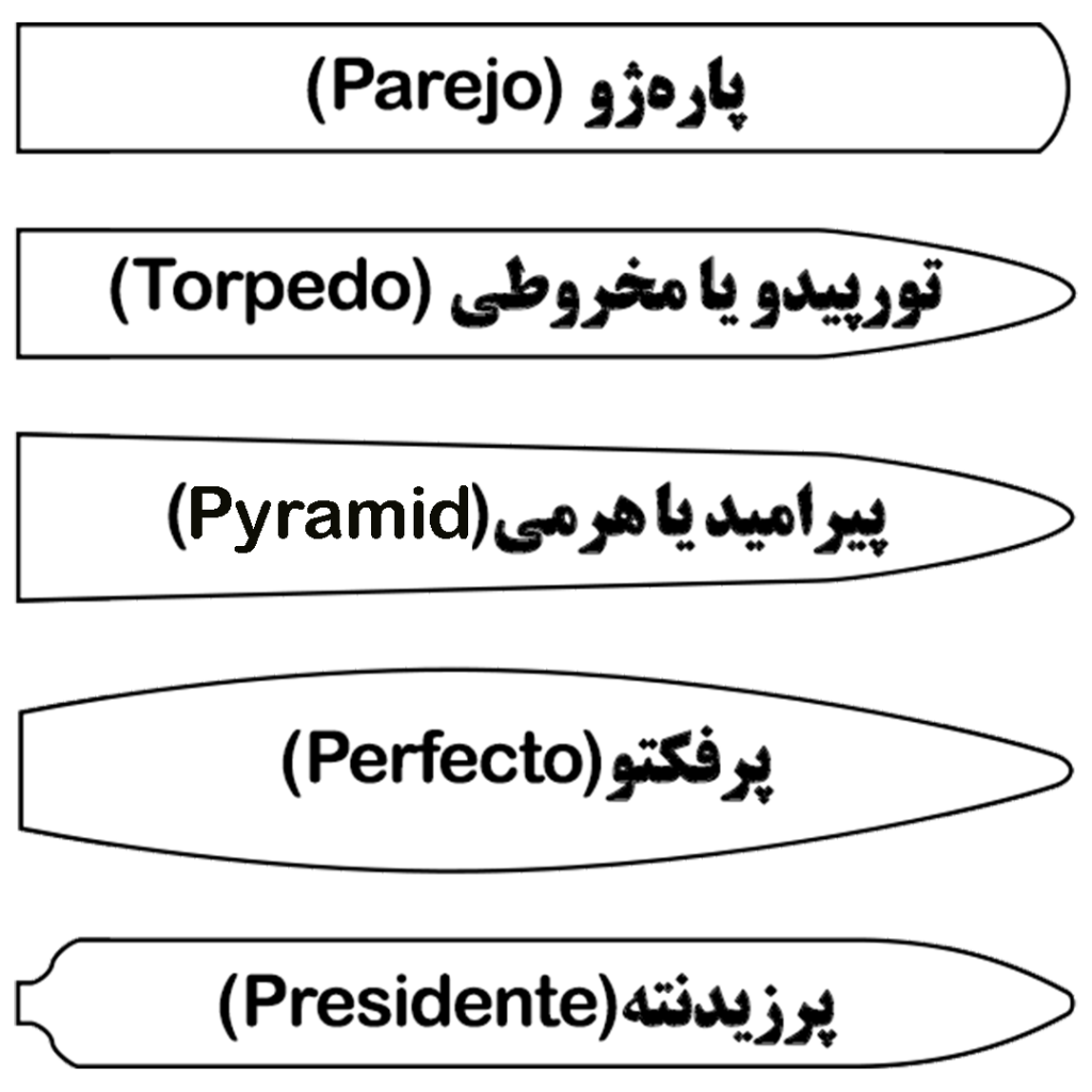شکل های سیگار برگ
