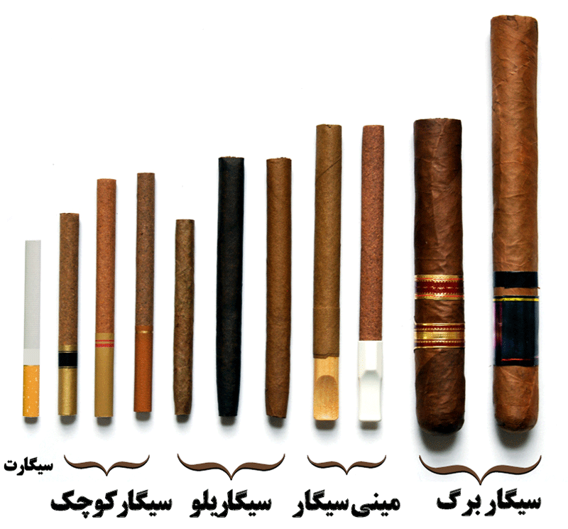 سیگار برگ در برابر سیگاریلو و مینی سیگار و سیگارت