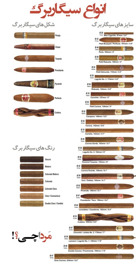 انواع سیگار برگ