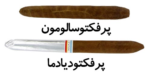 سیگار برگ پرفکتو سالومون پرفکتو دیادما