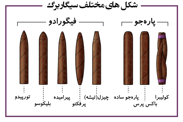 شکل های سیگار برگ