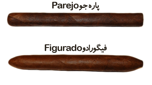 فرق سیگار برگ پاره جو و سیگار برگ فیگورادو