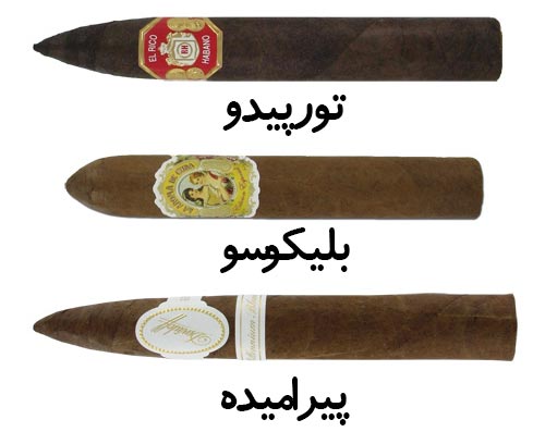 تورپیدو بلیکوسو پیرامیده